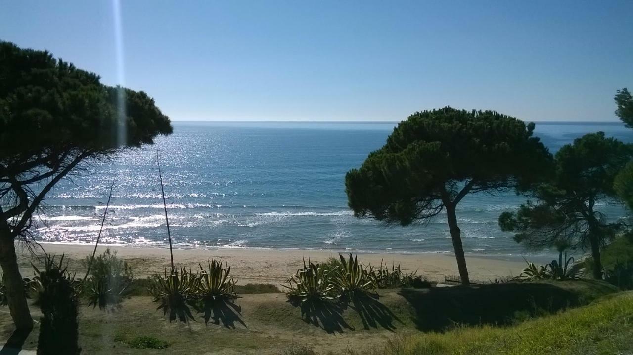 Apartamento Salou, Playas, Piscina Exterior foto